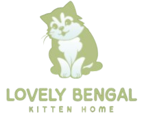 lovelybengalkittenhome.com